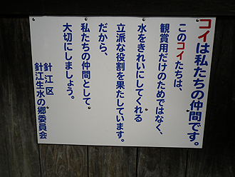 e0066586_7191462.jpg