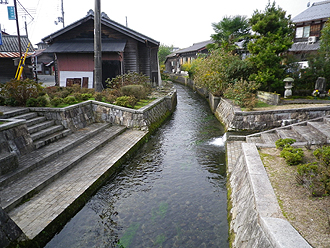 e0066586_719351.jpg