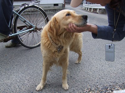 e0028387_2362743.jpg