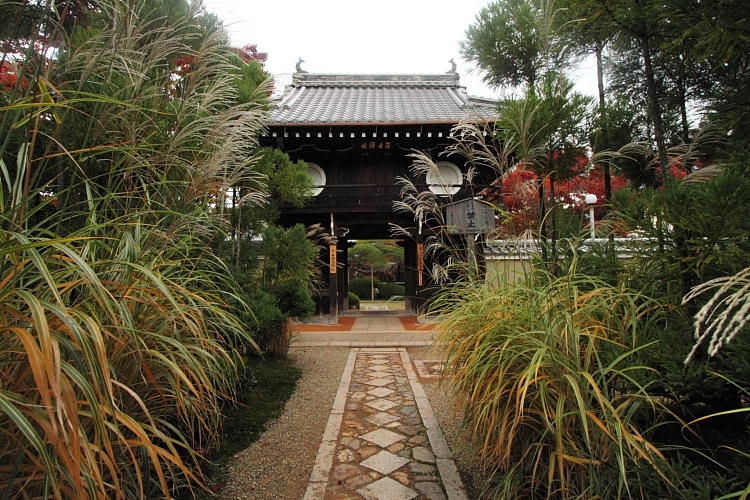 e0051888_6554413.jpg