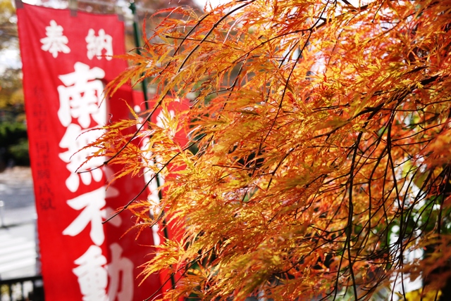 a0127090_21283649.jpg