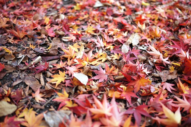a0127090_21324918.jpg