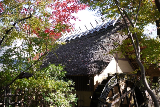 a0127090_213754.jpg