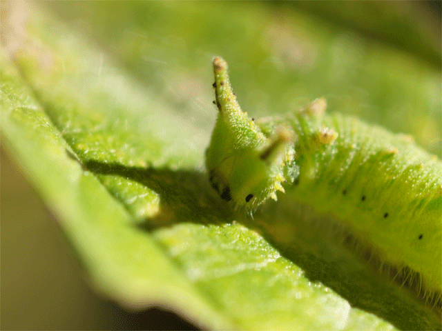 b0194593_17352479.gif