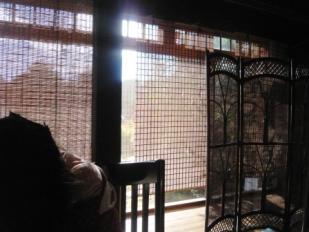 c0182096_617461.jpg