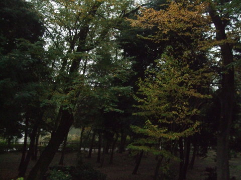 f0153998_15242790.jpg