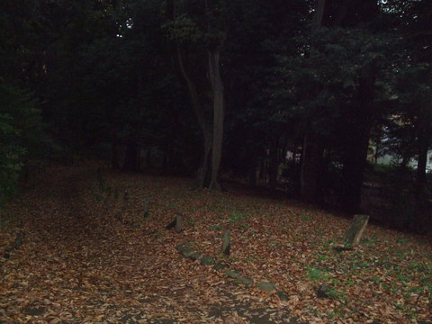 f0153998_15244536.jpg