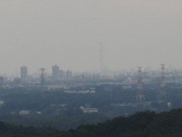 a0117599_0101010.jpg