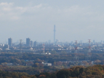a0117599_0131100.jpg