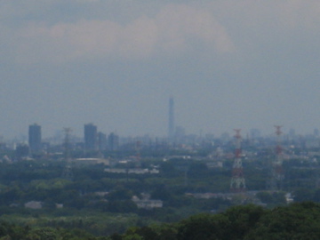 a0117599_064870.jpg