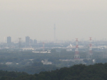a0117599_085981.jpg