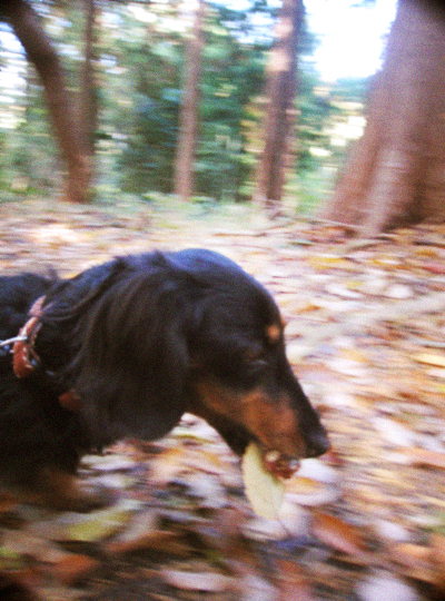 d0077603_18282028.jpg
