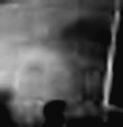 e0103408_12172470.gif