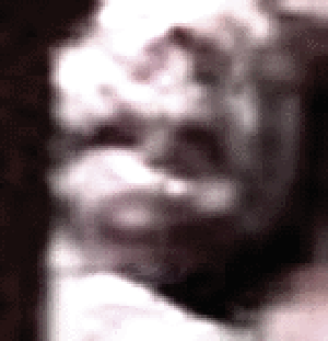 e0103408_17443751.gif