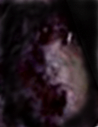 e0103408_17525825.gif