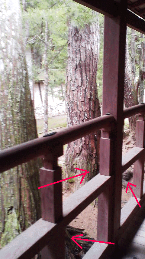 e0103408_17543981.gif