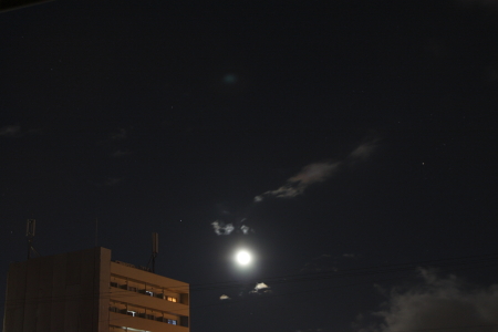 e0138008_20363175.jpg