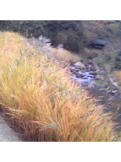 f0009509_8411518.jpg