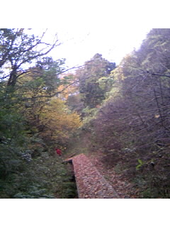 f0009509_8411557.jpg