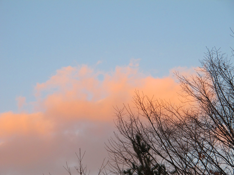 a0101715_1142283.jpg