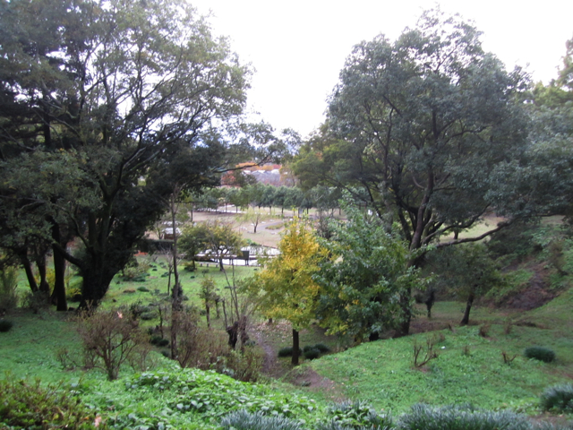 c0219815_1413472.jpg