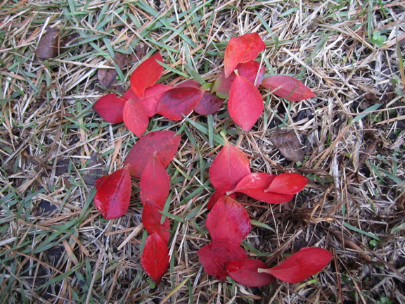 c0219815_148465.jpg