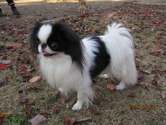 c0200916_013392.jpg