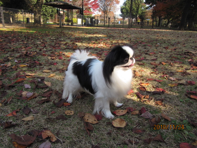 c0200916_01579.jpg