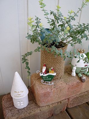 f0184021_11143057.jpg