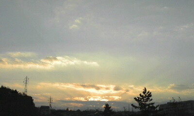b0174923_216861.jpg