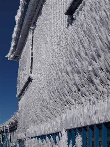e0041624_082399.jpg