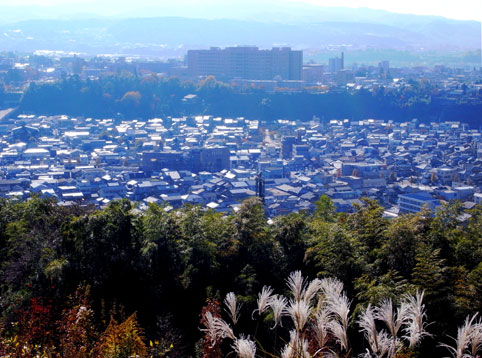 c0098228_54269.jpg