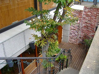 c0056437_22564013.jpg