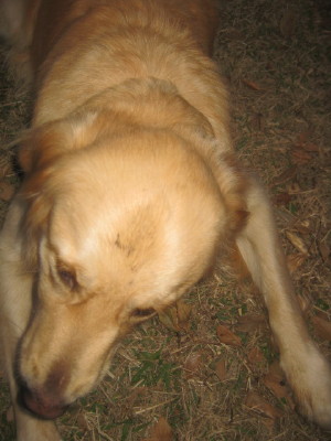 e0121548_20381970.jpg