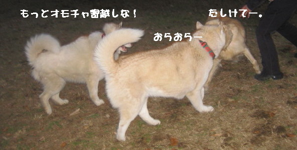 e0121548_20461899.jpg