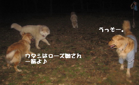 e0121548_21174928.jpg
