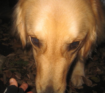 e0121548_2123312.jpg