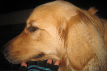e0121548_2172179.jpg