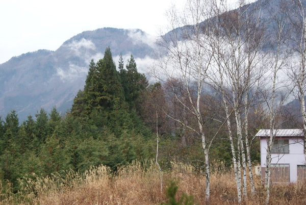 c0135361_20294520.jpg