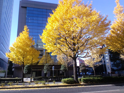 c0050264_2314049.jpg