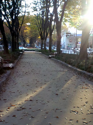 c0050264_23354538.jpg