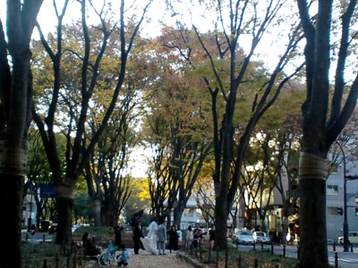 c0050264_23373652.jpg