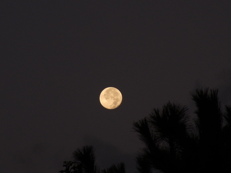 e0208965_20111136.jpg