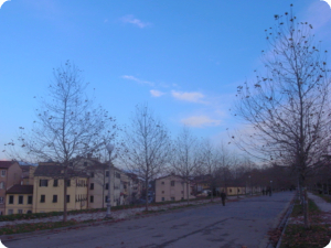 b0194867_4201156.jpg