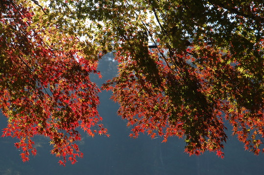 b0203588_19271772.jpg