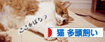 にほんブログ村 猫ブログ 猫 多頭飼い へ