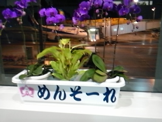 f0029393_624277.jpg