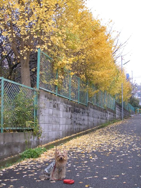 f0130894_225303.jpg