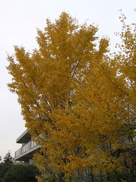 f0130894_2255015.jpg