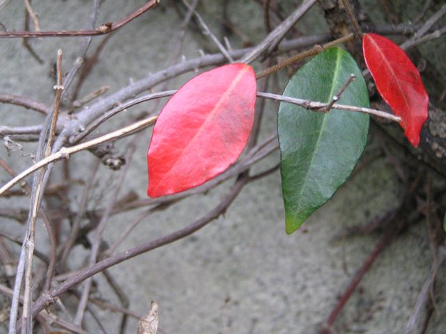 f0130894_2275221.jpg